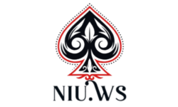 niu.ws logo